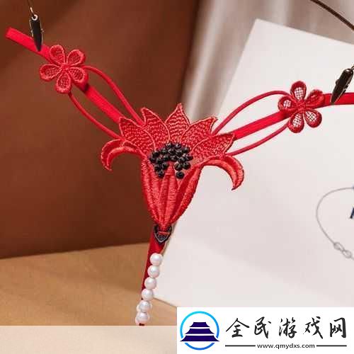 新娘子的t字裤：1.-新娘子的T字裤：婚礼上的性感秘密