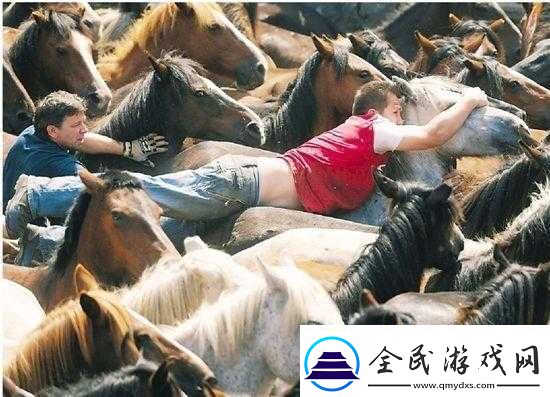人马大战CRM引发的精彩对决