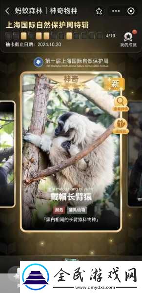梦幻花园全国玩家盛会深圳启幕-共筑梦想家园