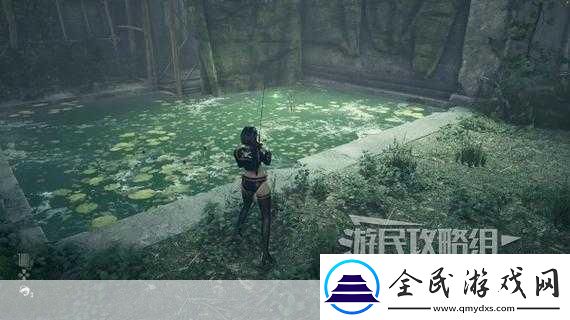 剑星之旅-燃尽希雍的辉煌全攻略