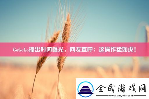 GoGoGo播出时间曝光-网友直呼：这操作猛如虎！