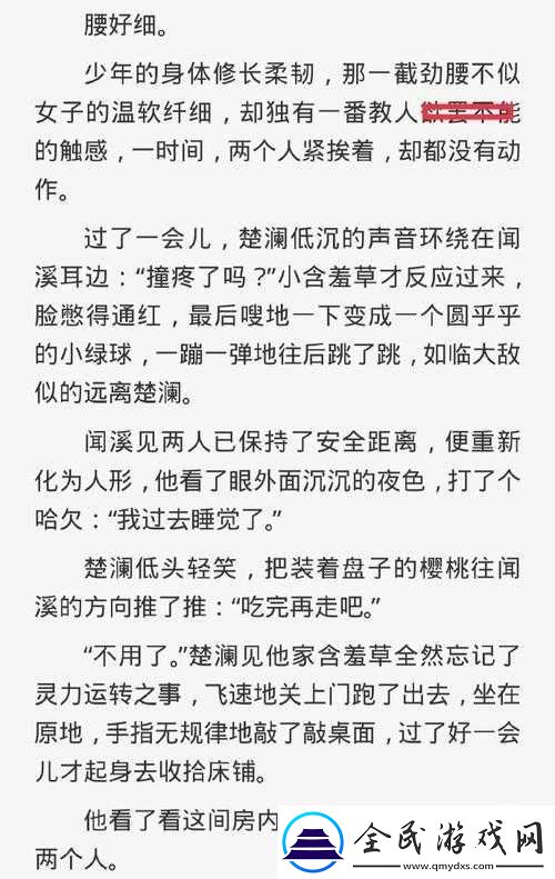 nr系统成精以后快穿：精彩冒险之旅
