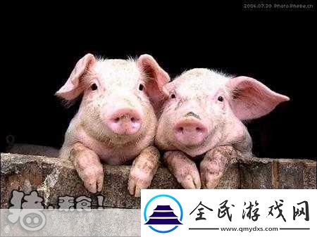 人类与动物的心灵交流