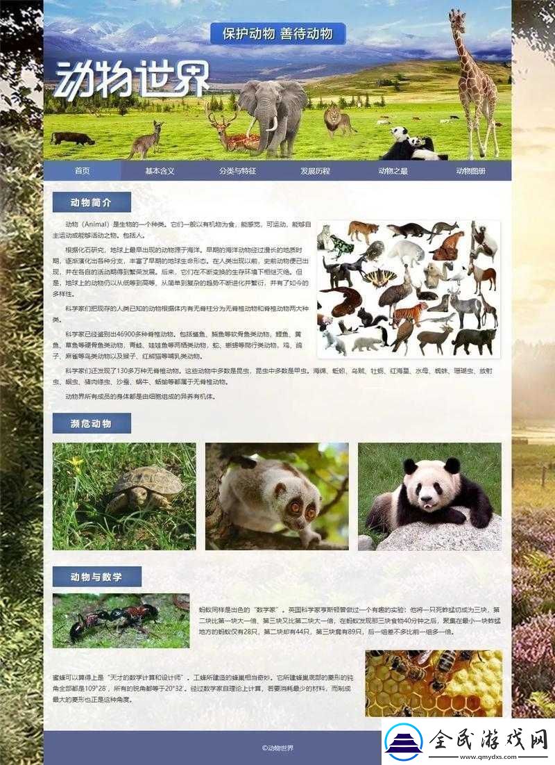 成品网站入口网页版怎样打开之方法解析