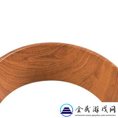 WHEELTPE孕妇轮内容不打码