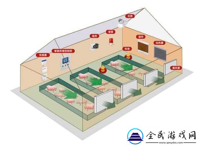 人马畜禽-company-解决方案：打造高效养殖模式