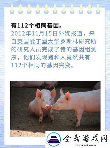 基因狂欢：猪之韵-人之谜