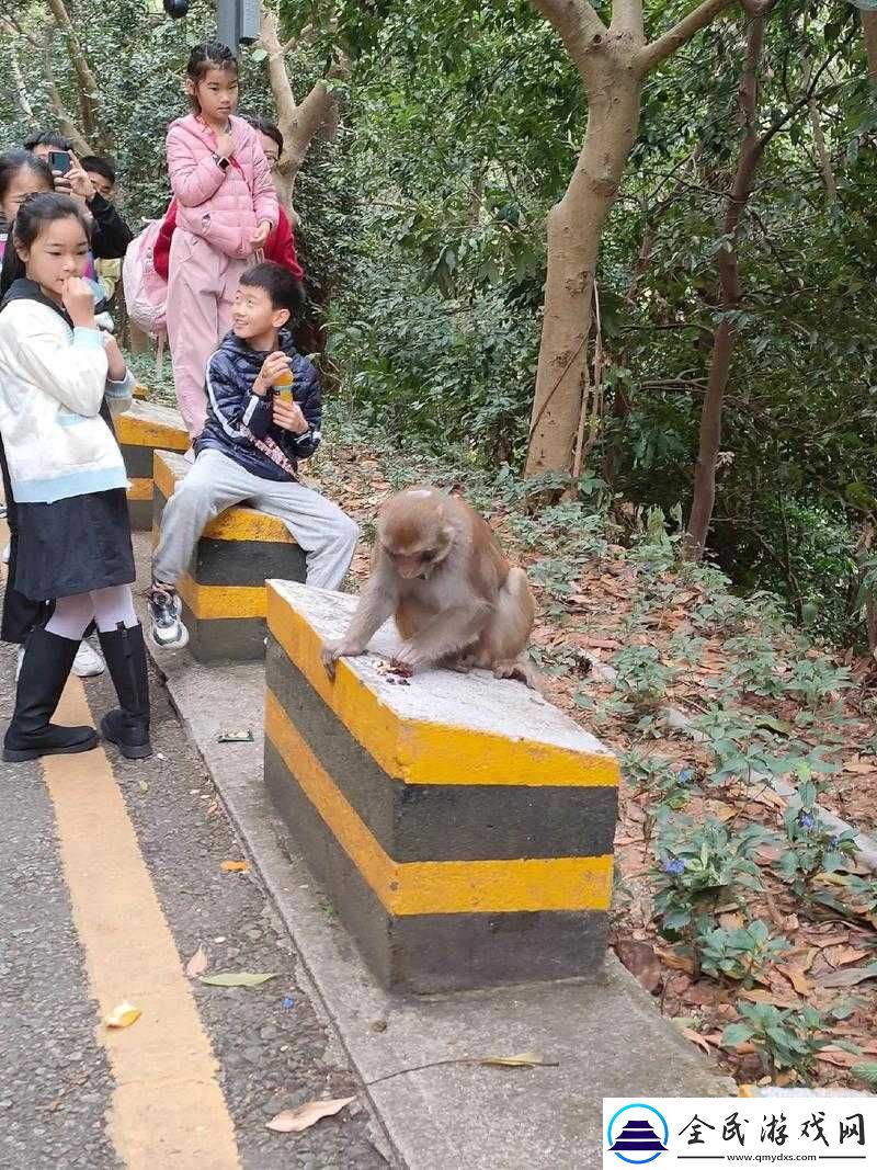 二人生猴子在线观看：精彩不容错过