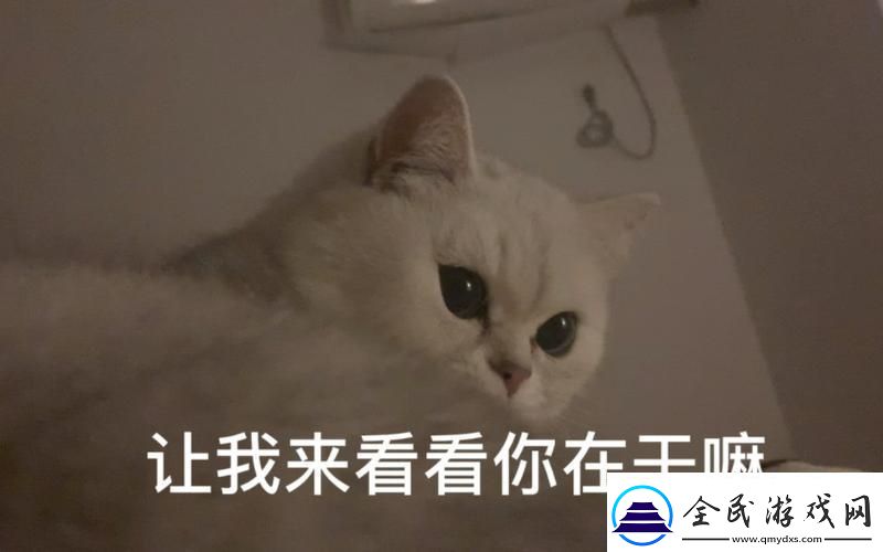 密码密林探幽：笑闯极境-谁与争疯