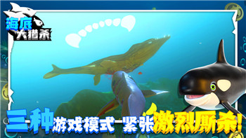 浮生为卿歌新手礼包解析及其玩法优势，为你带来更好的游戏体验